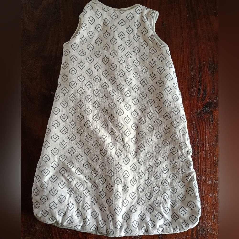 Aspen Kids Sleep Sack, 6-18 Months - Picture 2 of 4